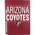NHL Arizona Coyotes Lineup PS5 Bundle Skin