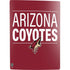 NHL Arizona Coyotes Lineup PS5 Digital Edition Bundle Skin