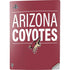 NHL Arizona Coyotes Lineup PS5 Digital Edition Console Skin