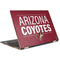 NHL Arizona Coyotes Lineup HP Spectre Skin