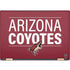 NHL Arizona Coyotes Lineup HP Spectre Skin