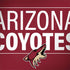 NHL Arizona Coyotes Lineup HP Spectre Skin