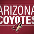 NHL Arizona Coyotes Lineup Surface Book 2 13.5in Skin
