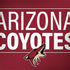 NHL Arizona Coyotes Lineup Surface Book 2 15in Skin