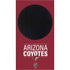 NHL Arizona Coyotes Lineup Xbox Series S Console Skin