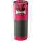 University of Arkansas-Fayetteville Razorbacks Amazon Echo Skin