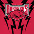 University of Arkansas-Fayetteville Razorbacks iPhone XS Max Skin