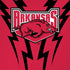 University of Arkansas-Fayetteville Razorbacks iPhone XS Skin