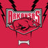 University of Arkansas-Fayetteville Razorbacks PS4 Console and Controller Bundle Skin