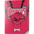 University of Arkansas-Fayetteville Razorbacks PS5 Digital Edition Console Skin