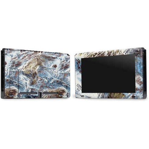 RealTree Aspect Light Camo Nintendo Switch Bundle Skin
