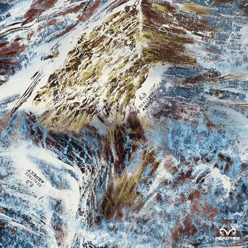 RealTree Aspect Light Camo PS4 Pro Console Skin