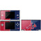 MLB Atlanta Braves Split DS Lite Skin