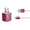 NFL Atlanta Falcons Double Vision iPhone Charger (5W USB) Skin