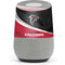 NFL Atlanta Falcons Google Home Skin