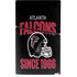 NFL Atlanta Falcons Helmet PS5 Slim Digital Edition Bundle Skin