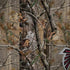 NFL Atlanta Falcons Realtree AP Camo Notebook 9 Pro 13in (2017) Skin
