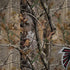 NFL Atlanta Falcons Realtree AP Camo Surface Book 2 13.5in Skin