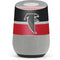 NFL Atlanta Falcons Vintage Google Home Skin