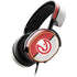 NBA Atlanta Hawks Canvas SteelSeries Arctis 5 Skin