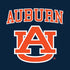 Auburn University AU Moto E5 Play Skin