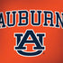 Auburn University AU Orange Legion Y720 Skin