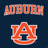 Auburn University AU PS4 Slim Skin