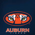 Auburn University Tigers Mascot Moto G6 Skin