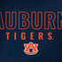 Auburn University Tigers Outline Dell Alienware Skin