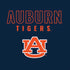 Auburn University Tigers Outline Moto E5 Play Skin