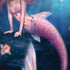 Rachel Anderson Aurelia Mermaid with Fish Galaxy Note 8 Skin