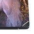 Laurie Prindle Autumn Glow Unicorn Dell Vostro Skin