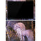 Laurie Prindle Autumn Glow Unicorn Surface Pro 7 Skin
