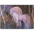 Laurie Prindle Autumn Glow Unicorn Surface Pro 9 Skin