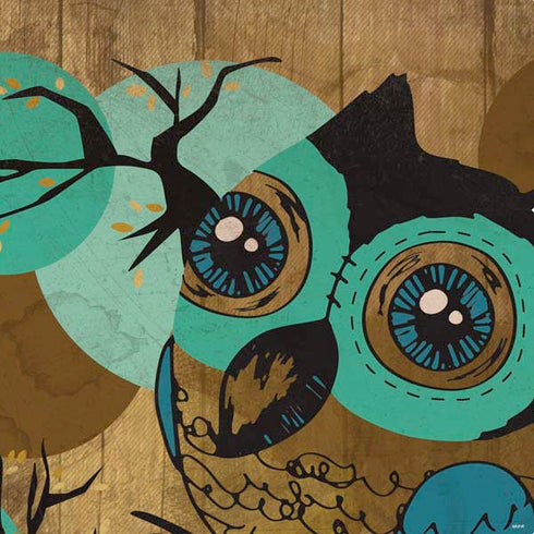 Autumn Owl PS4 Pro Bundle Skin