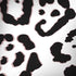 B&W Leopard iPhone X Pro Case