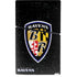 NFL Baltimore Ravens - Alternate Distressed PS5 Slim Digital Edition Bundle Skin