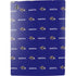 NFL Baltimore Ravens Blitz Series PS5 Bundle Skin