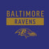 NFL Baltimore Ravens Purple Performance Series Nintendo 2DS XL (2017) Skin