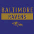 NFL Baltimore Ravens Purple Performance Series PS4 Pro Bundle Skin