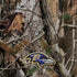 NFL Baltimore Ravens Realtree AP Camo Moto E5 Play Skin