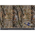 NFL Baltimore Ravens Realtree AP Camo MSI GS65 Stealth Laptop Skin