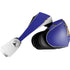 NFL Baltimore Ravens Team Motto PlayStation VR2 Skin