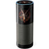 Alchemy Baphomet Zisurrû Amazon Echo Skin