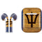 Barbados Flag Dark Wood Apple AirPods Skin