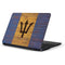 Barbados Flag Dark Wood Samsung Chromebook Skin