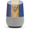 Barbados Flag Dark Wood Google Home Skin