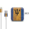 Barbados Flag Dark Wood iPad Charger (10W USB) Skin