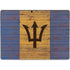 Barbados Flag Dark Wood Surface Pro 9 Skin