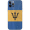 Barbados Flag Distressed iPhone 12 Pro Max Skin